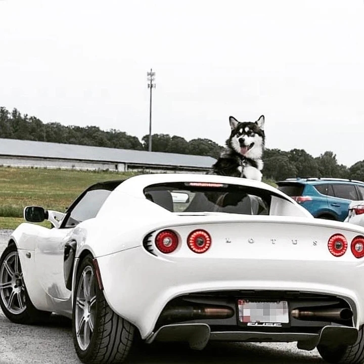 2006 Lotus Elise Series 2 - Image 7 of 7