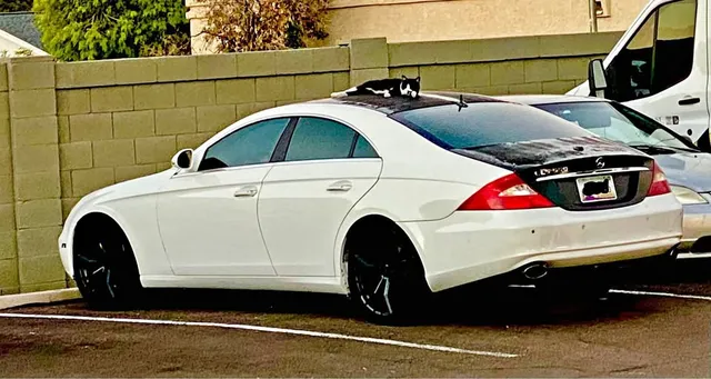 2006 Mercedes-Benz CLS 550 Coupe 4D
