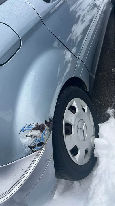 2006 Mercedes-Benz W245 B-Class - Image 10 of 11