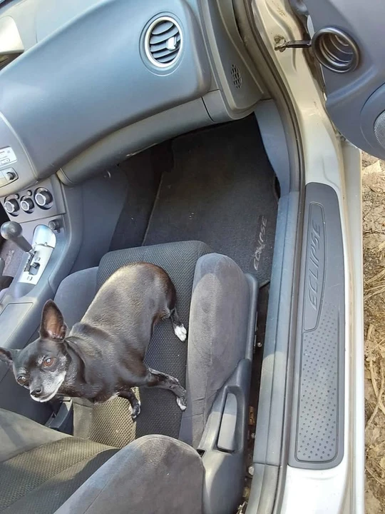 2006 Mitsubishi Eclipse 4th Gen - Image 11 of 12