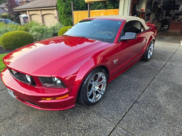 2006 Ford S197 Mustang - Image 10 of 14