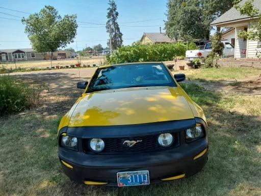 2006 Ford S197 Mustang GT - Image 8 of 11
