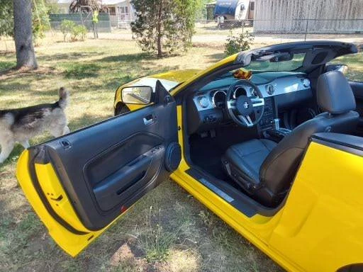 2006 Ford S197 Mustang GT - Image 6 of 11