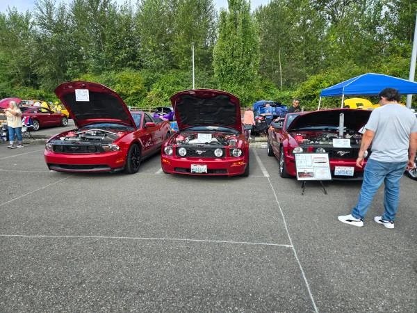 2006 Ford S197 Mustang - Image 14 of 14