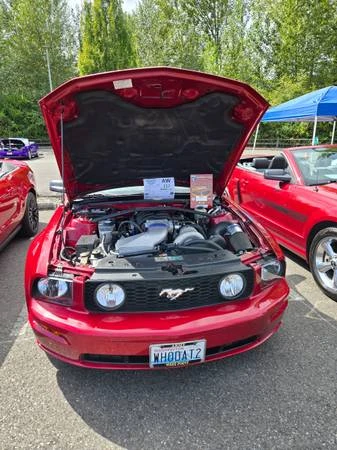 2006 Ford S197 Mustang - Image 12 of 14