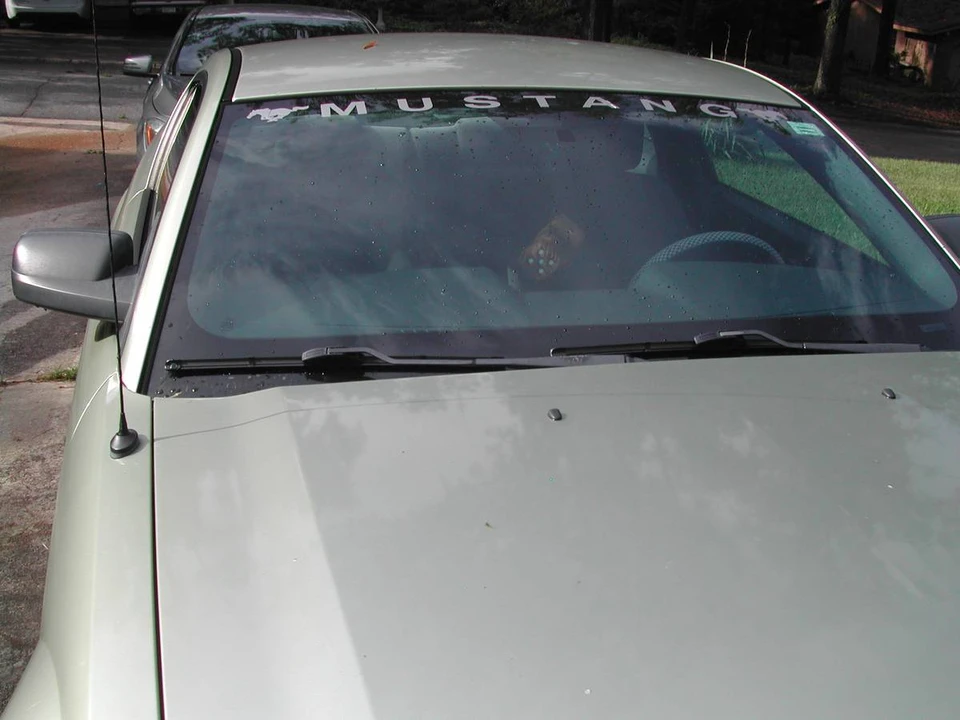 2006 Ford S197 Mustang - Image 7 of 12