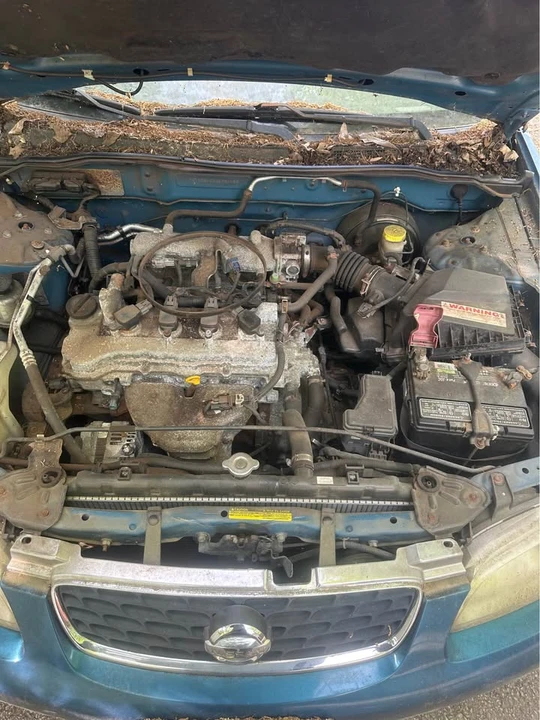 2006 Nissan Sentra 5th Gen - Image 5 of 5