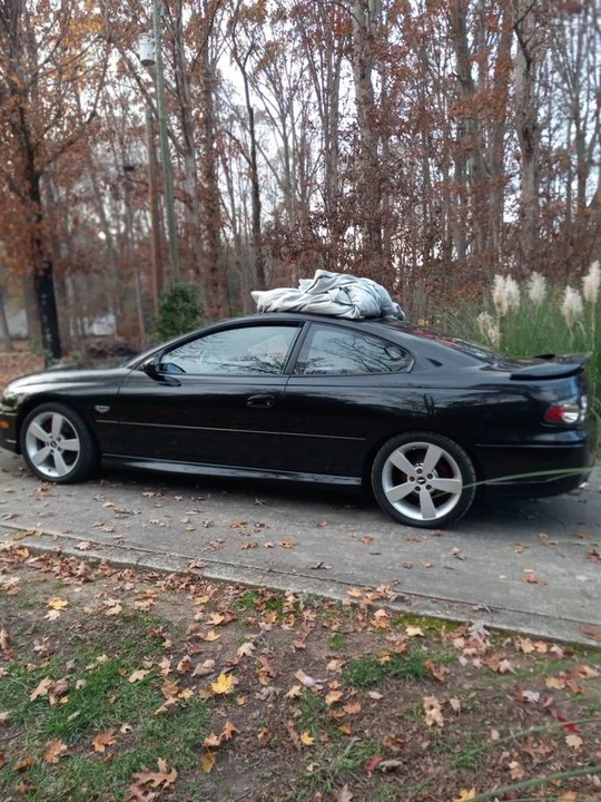 2006 Pontiac GTO 4th Gen - Image 6 of 13