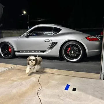 2006 Porsche Cayman S Coupe