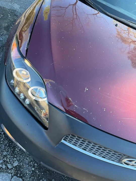 2006 Scion tC - Image 11 of 12