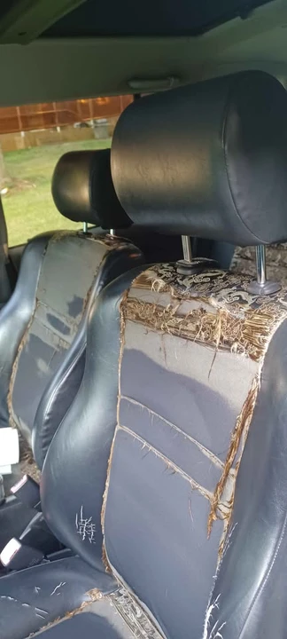 2006 Scion xB - Image 7 of 16