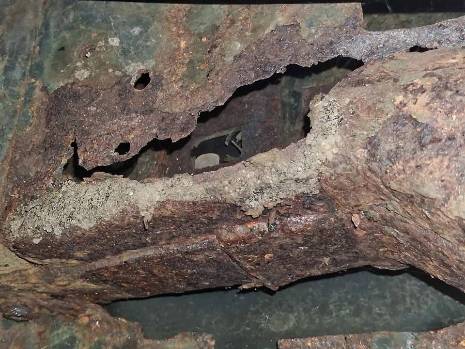 2006 Toyota 4Runner 4th Gen - Image 11 of 11