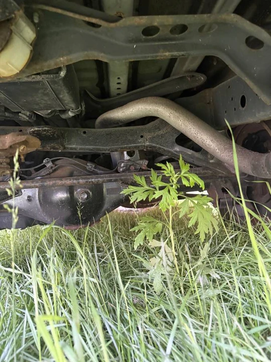 2006 Toyota 4Runner - Image 14 of 20