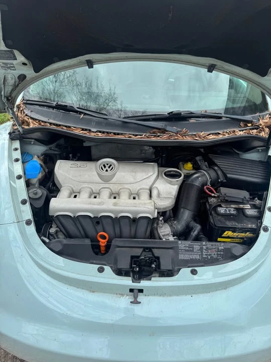 2006 Volkswagen New Beetle - Image 10 of 16