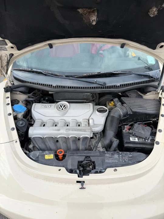 2006 Volkswagen New Beetle - Image 7 of 7