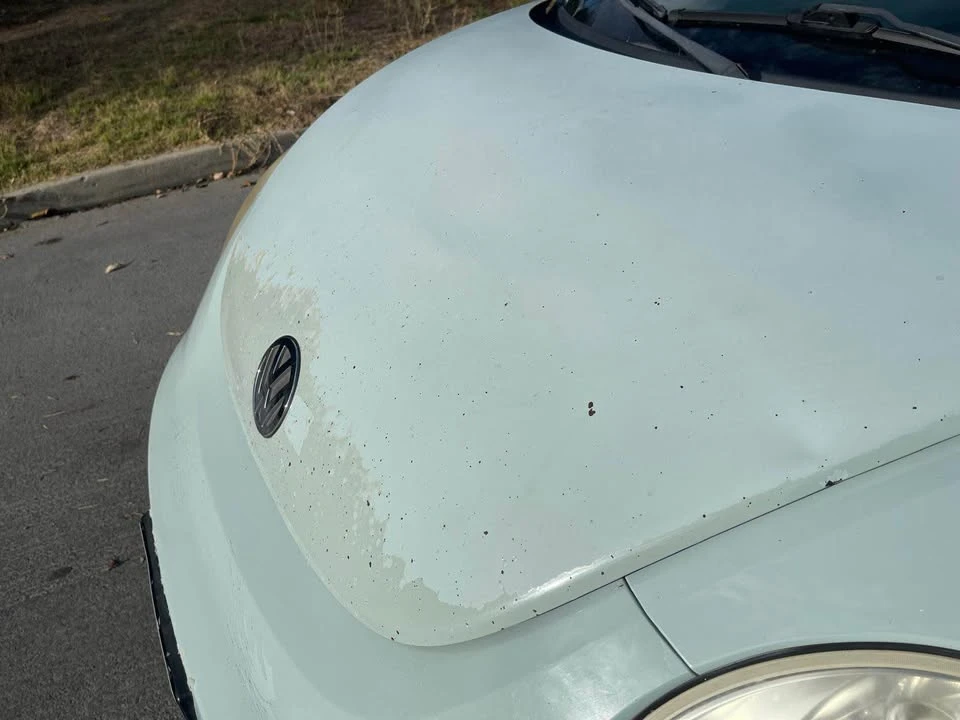 2006 Volkswagen New Beetle - Image 10 of 10