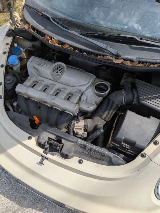 2006 Volkswagen New Beetle - Image 16 of 17