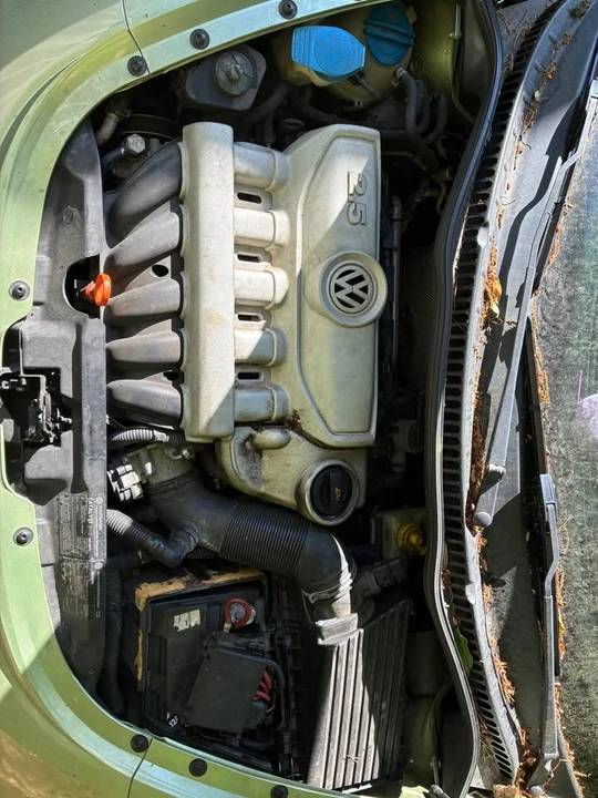 2006 Volkswagen New Beetle - Image 3 of 8