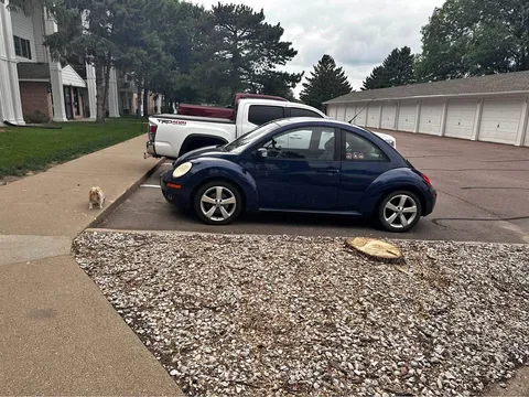 2006 Volkswagen Beetle