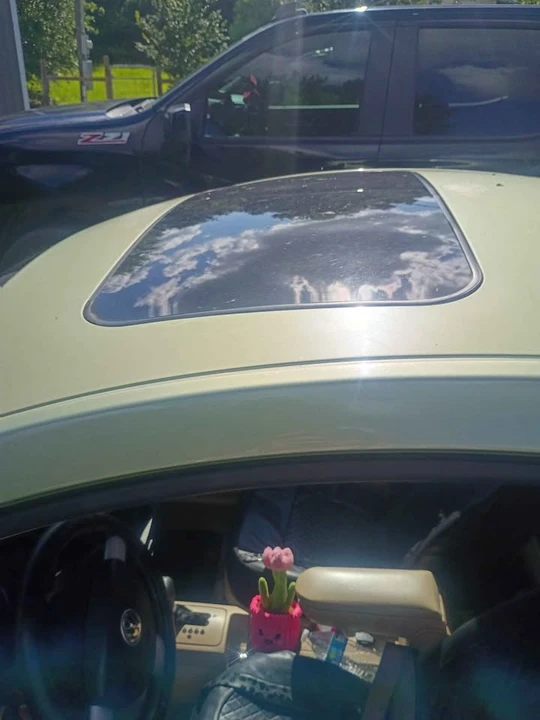2006 Volkswagen New Beetle - Image 14 of 14