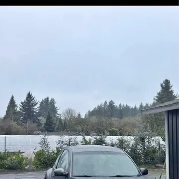 2006 Volkswagen Beetle TDI