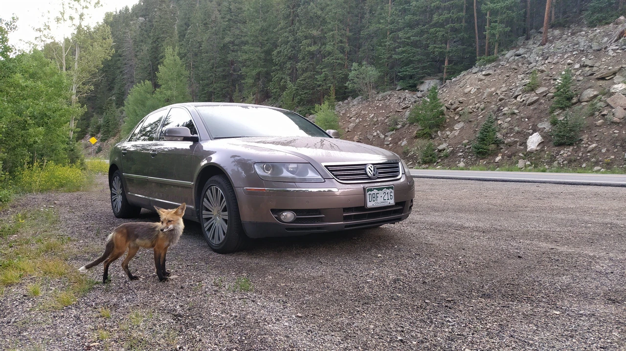 2006 Volkswagen Phaeton - Image 14 of 31