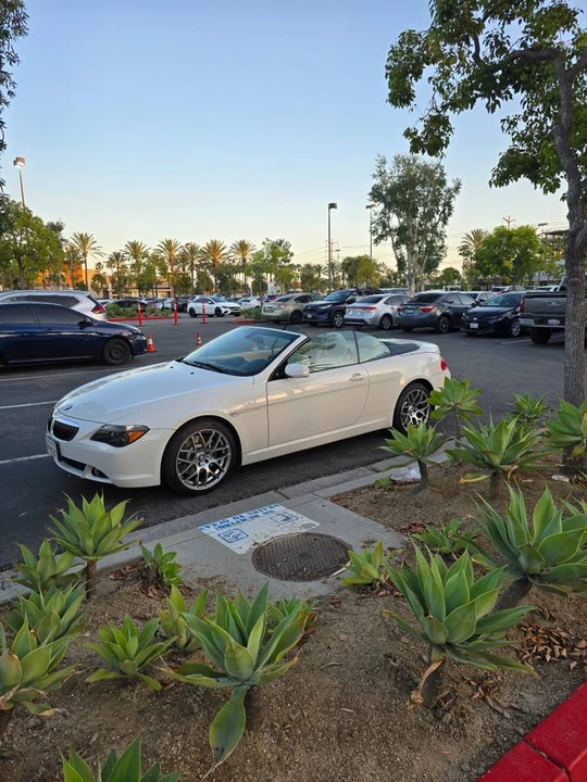 2006 BMW E63/E64 645Ci & 650i - Image 7 of 19