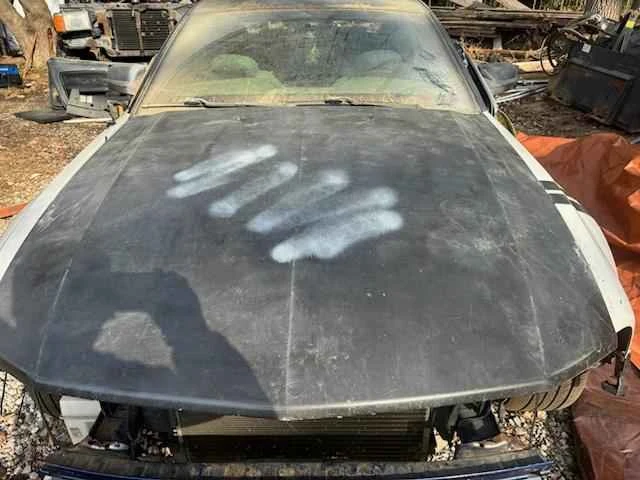 2006 Ford S197 Mustang - Image 3 of 4