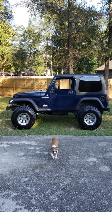 2006 Jeep TJ Wrangler - Image 2 of 11
