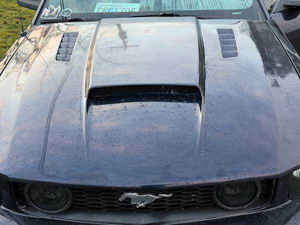 2006 Ford S197 Mustang - Image 7 of 12