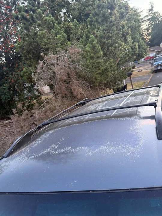 2007 Toyota 4Runner 4th Gen - Image 7 of 8