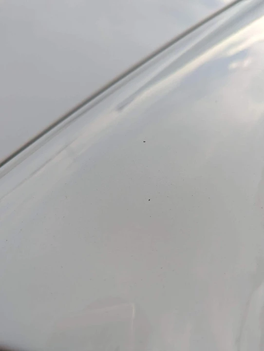 2007 Porsche 997 GT3 - Image 22 of 29