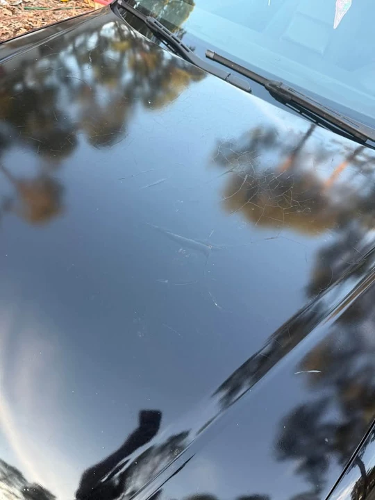2007 Audi B7 A4 - Image 5 of 10