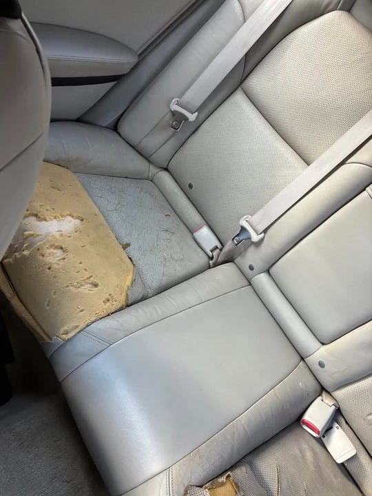 2007 Acura RDX 1st Gen - Image 9 of 14
