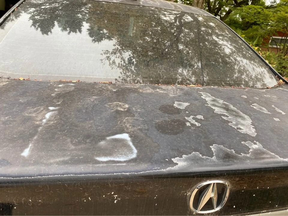 2007 Acura TL 3rd Gen - Image 7 of 11