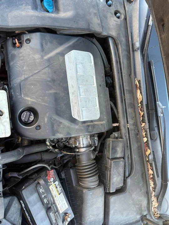 2007 Acura TL 3rd Gen - Image 10 of 10