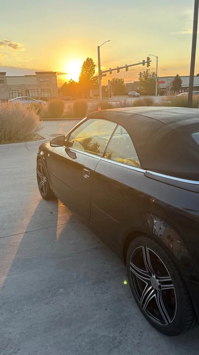 2007 Audi B7 A4 - Image 8 of 8