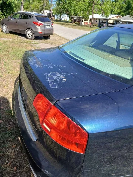 2007 Audi B7 A4 - Image 4 of 4