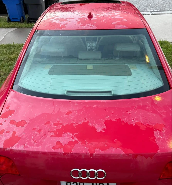 2007 Audi B7 A4 - Image 12 of 16