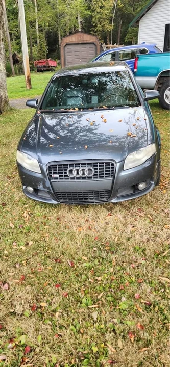 2007 Audi B7 A4 - Image 5 of 6
