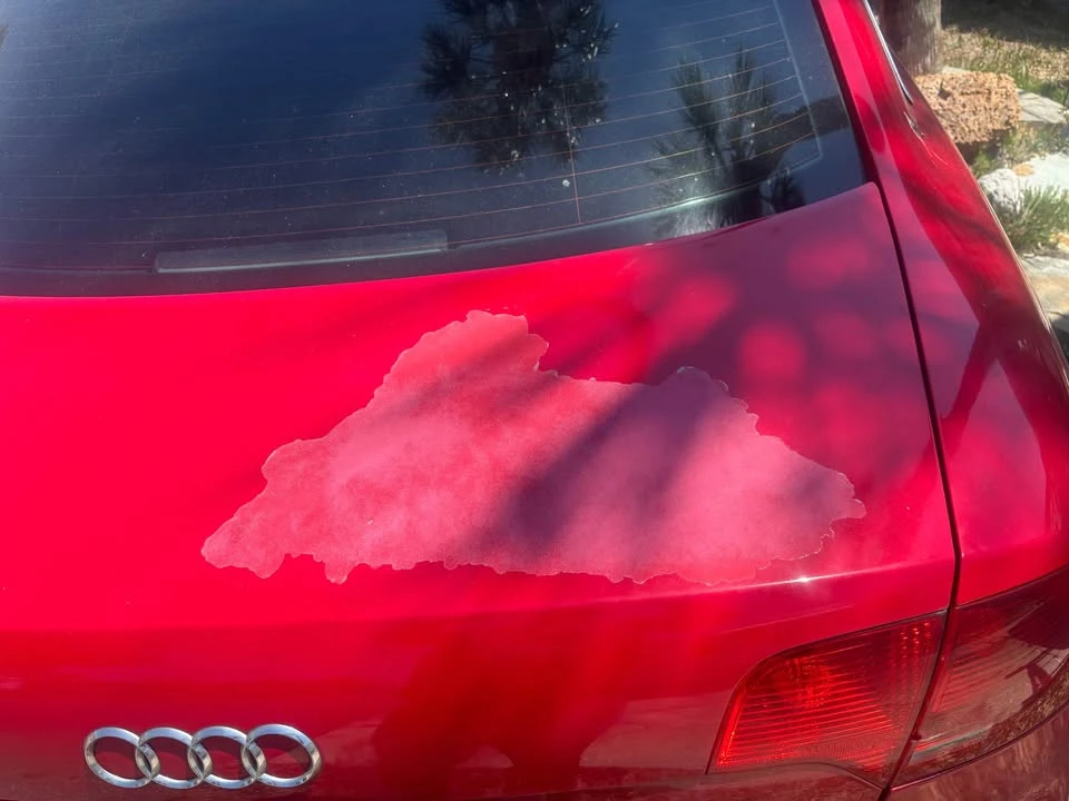 2007 Audi B7 A4 - Image 4 of 8