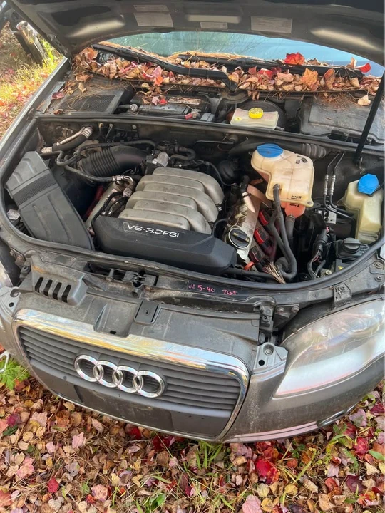 2007 Audi B7 A4 - Image 4 of 13
