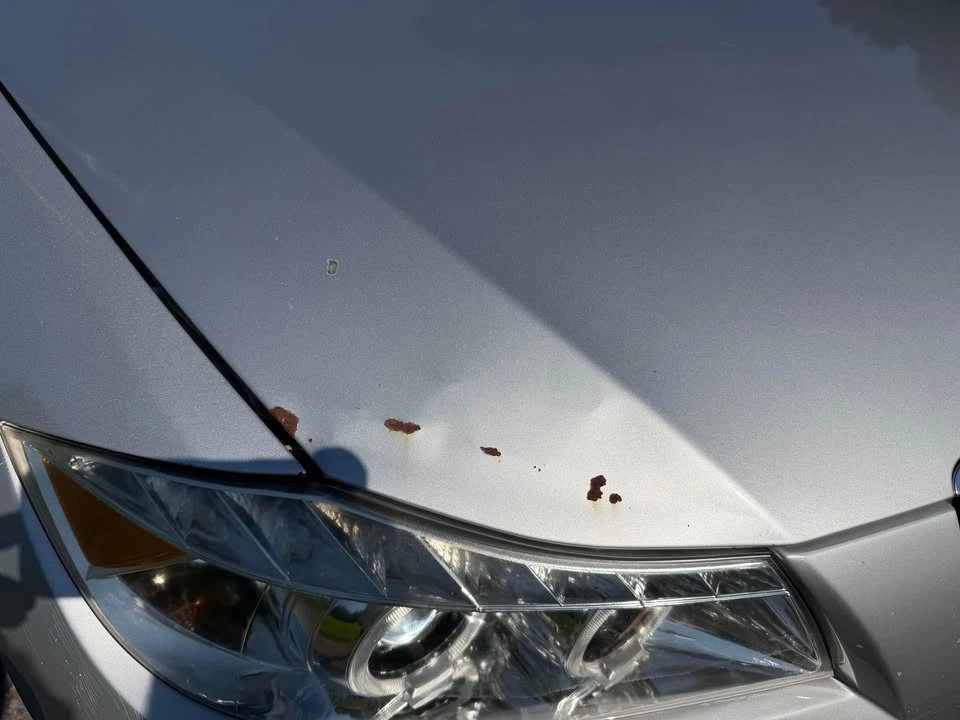 2007 BMW E90 3 Series Sedan - Image 6 of 12