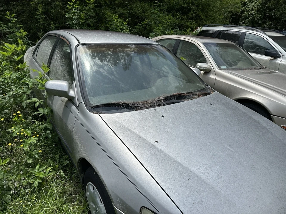 2007 BMW E65/E66 7 Series - Image 8 of 19