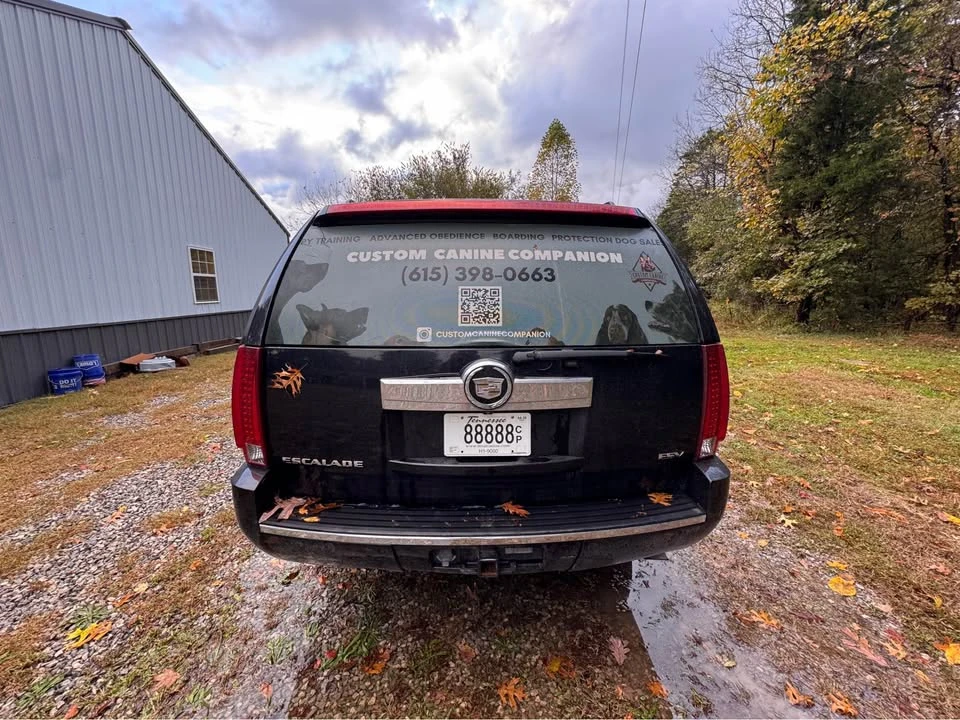 2007 Cadillac Escalade & EXT 3rd Gen - Image 5 of 15