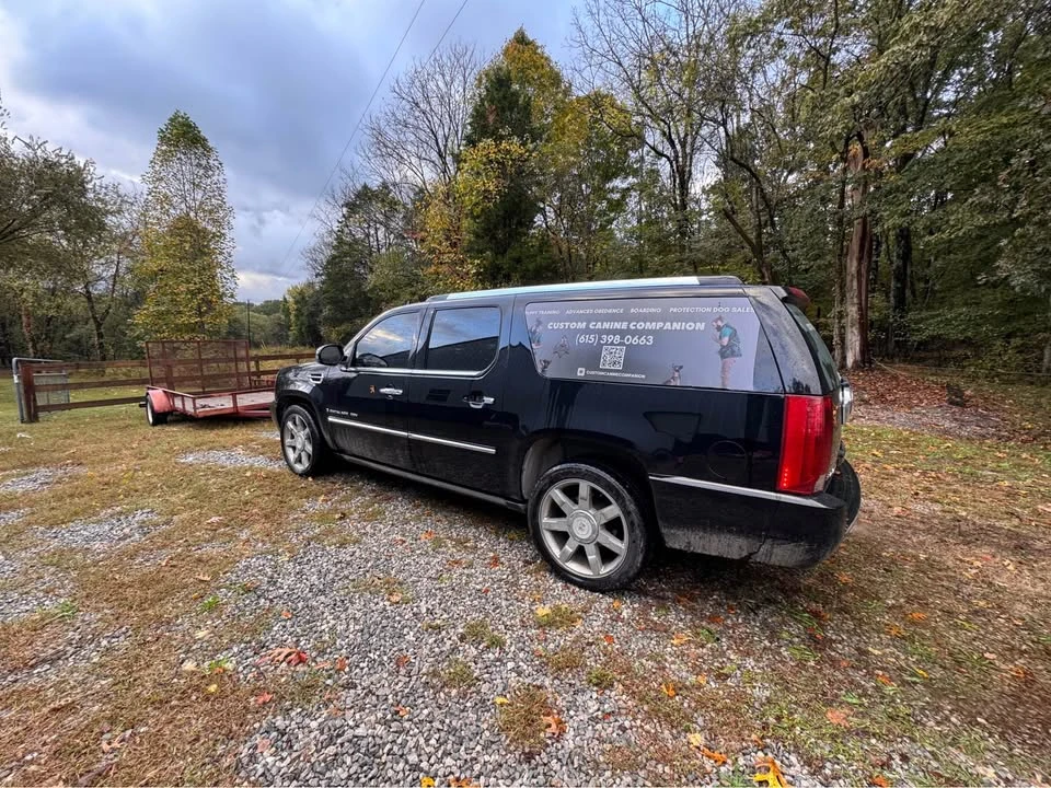 2007 Cadillac Escalade & EXT 3rd Gen - Image 6 of 15