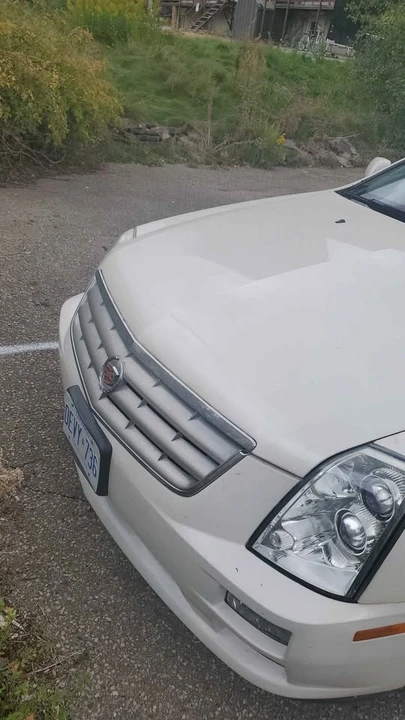 2007 Cadillac STS - Image 4 of 8