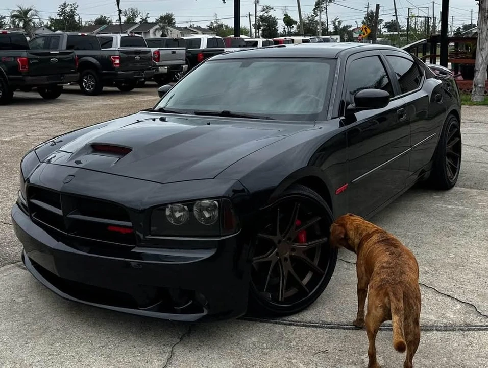 2007 Dodge Charger SRT & 392 6th Gen - Image 7 of 9