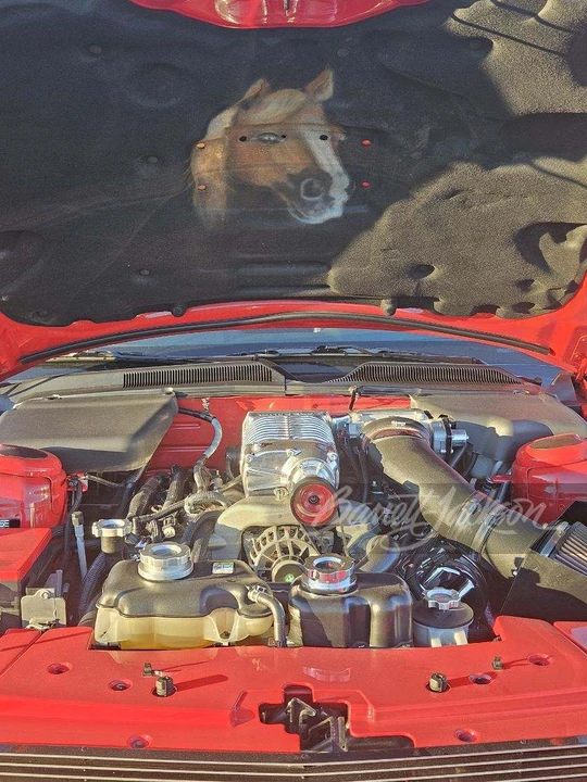 2007 Ford S197 Mustang - Image 13 of 15