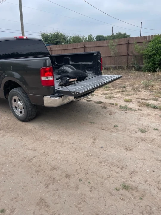 2007 Ford F-150 11th Gen - Image 8 of 11